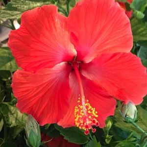 Meet your Posher, Kathi